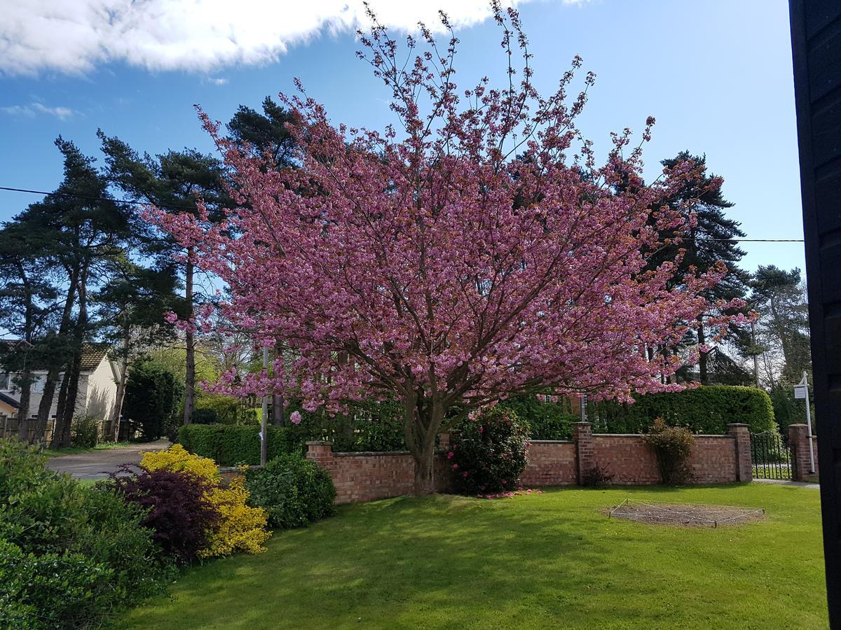 Leeward Bed & Breakfast South Walsham Εξωτερικό φωτογραφία